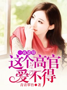 一夜错情:这个高官爱不得